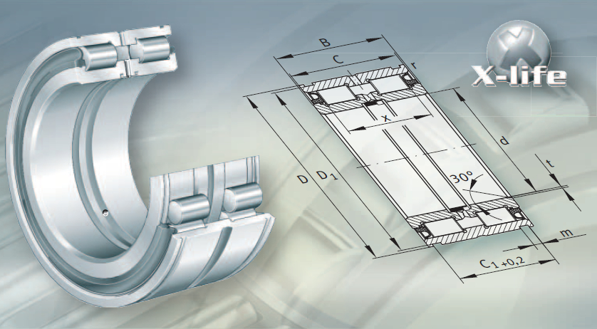 山东进口轴承|双列满装圆柱滚子轴承