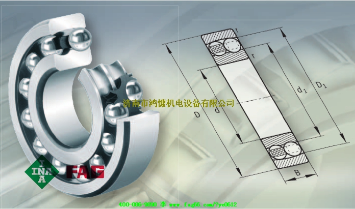 济南进口轴承 FAG轴承